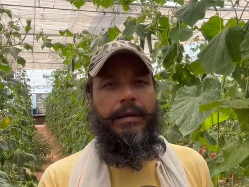 किसान ने हाई-टेक पॉली हाउस से अपनाई 'जहर मुक्त खेती', अब हो रही अच्छी आमदनी