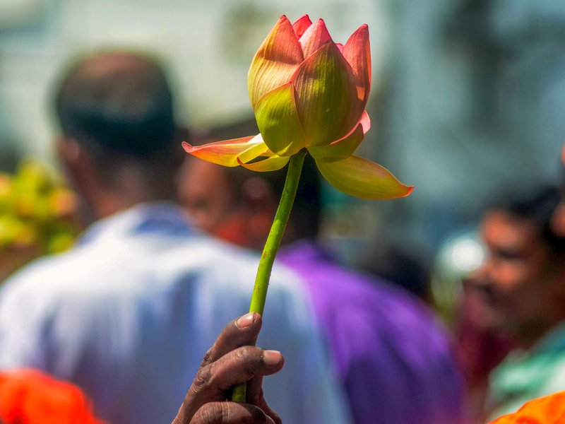 The Pasmanda Awakening: How Bengal's verdict is rewriting Indian Muslim politics