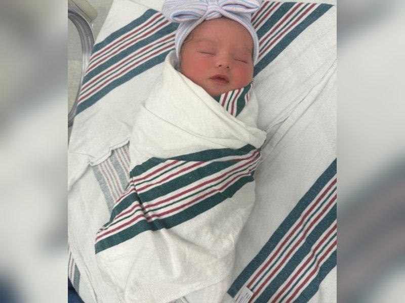 Rebel Wilson welcomes second daughter with wife Ramona: Feeling so incredibly grateful 