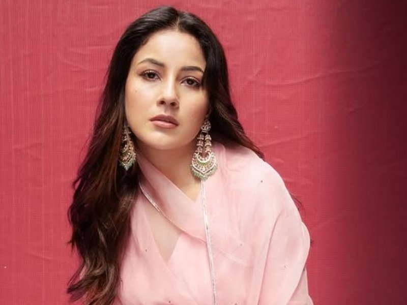 Shehnaaz Gill professes love for her favourite IPL team: ‘Dil RCB main hai’ 