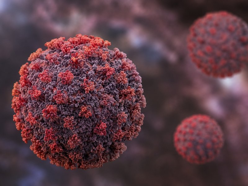 Hantavirus unlikely to reach pandemic scale, no cases in India: Report