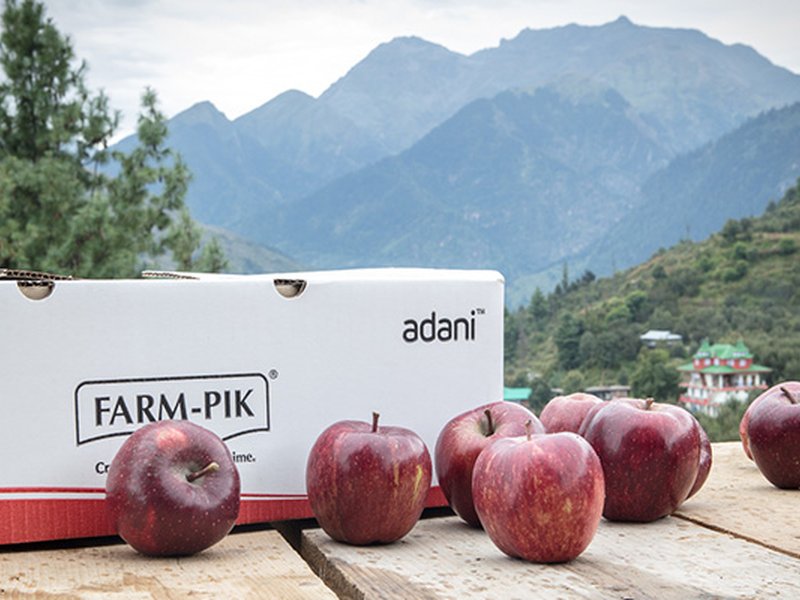 After Apple, Adani Agri Fresh to begin cherry procurement in Himachal; peaches and plums next