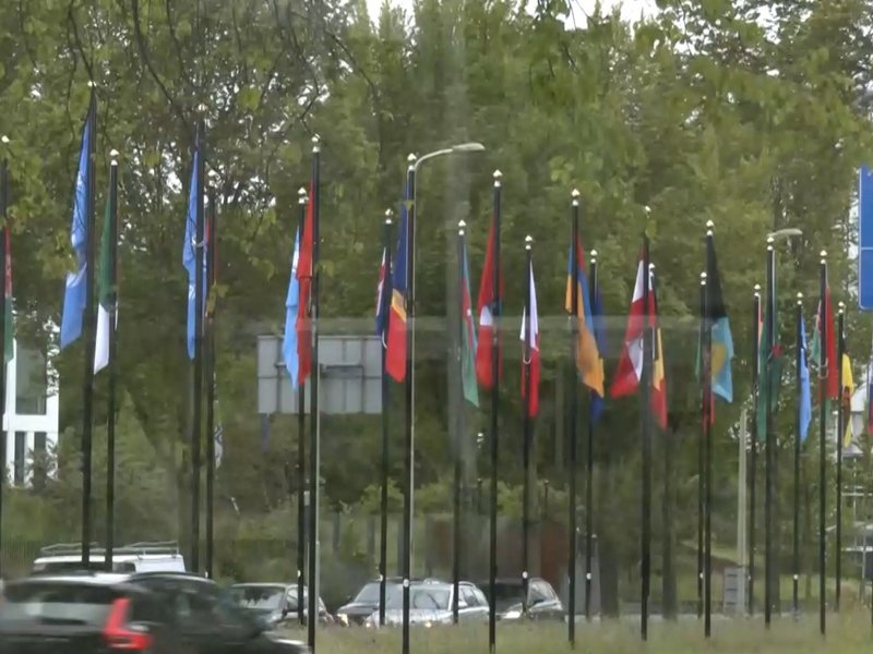Indian diaspora in Netherlands 'excited' over PM Modi's visit, hails partnerships in new sectors