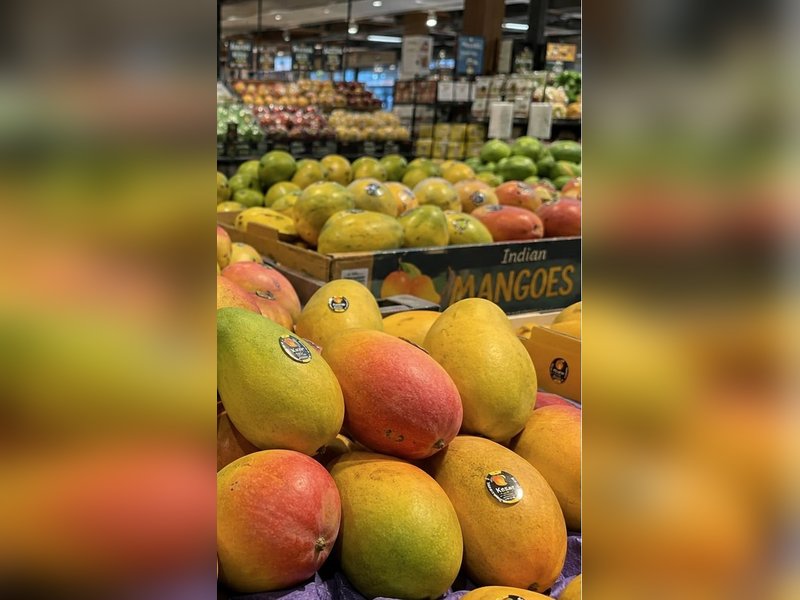 Indian mangoes arrive in Seattle stores