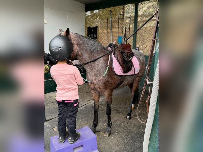 Priyanka Chopra drops a glimpse of daughter Malti making a new friend
