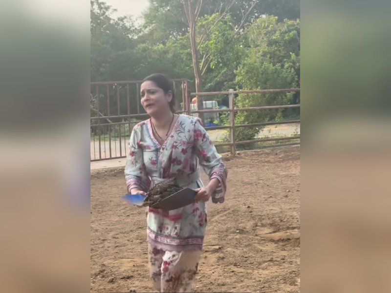 Ankita Lokhande picks cow dung with bare hands, embraces 'Gau Seva'