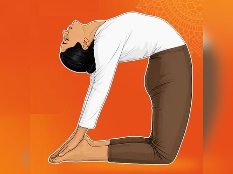 दिन भर छाई रहती है सुस्ती, छोटे-छोटे काम के बाद थक जाता है शरीर? उष्ट्रासन से दूर होगी समस्याएं