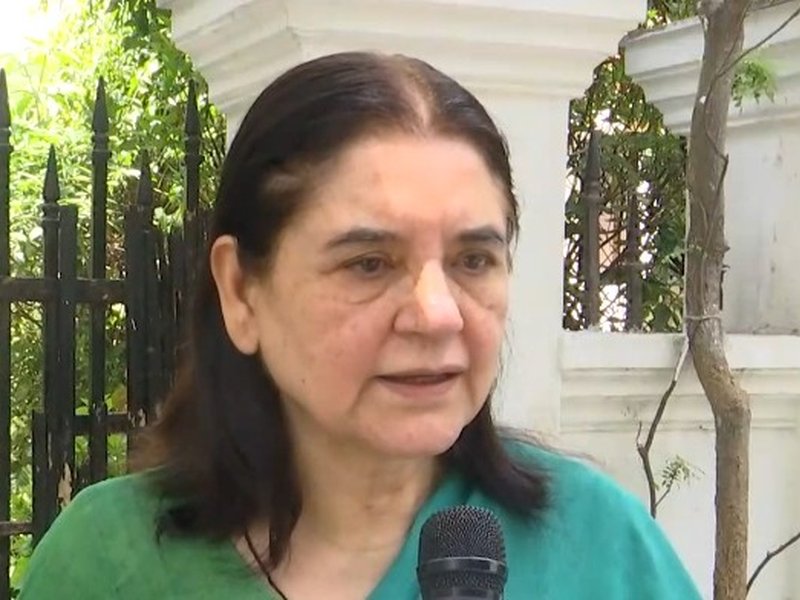 Stray dogs case: Maneka Gandhi flags illegal NGOs, seeks one contract per organisation