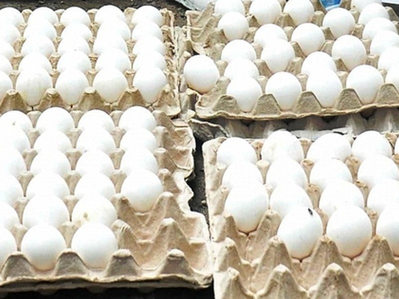 Curious case of rising demands for eggs with broken shell in parts of Bangladesh: Media report