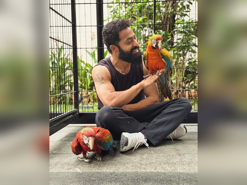 Jr NTR reflects his love for Japan as he introduces his new buddies Asahi & Yuuhi 