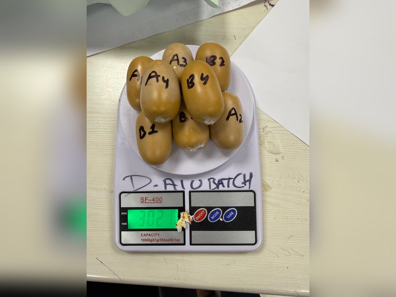 DRI busts gold smuggling syndicate at Mumbai airport, seizes gold worth Rs 4.8 crore