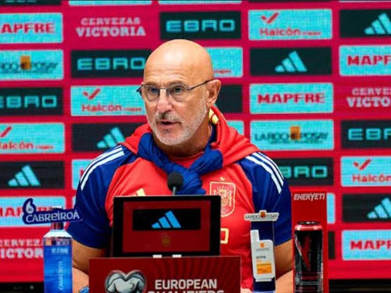 Spain coach De la Fuente: World Cup squad has already been decided