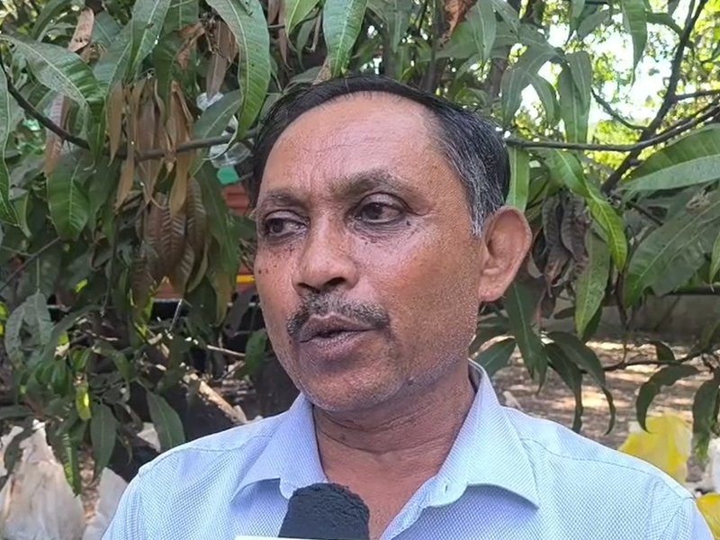 'Symbol of Indian culture, hospitality & tradition':  Gujarat farmers feel pride as PM Modi gifts Kesar mangoes to UAE President
