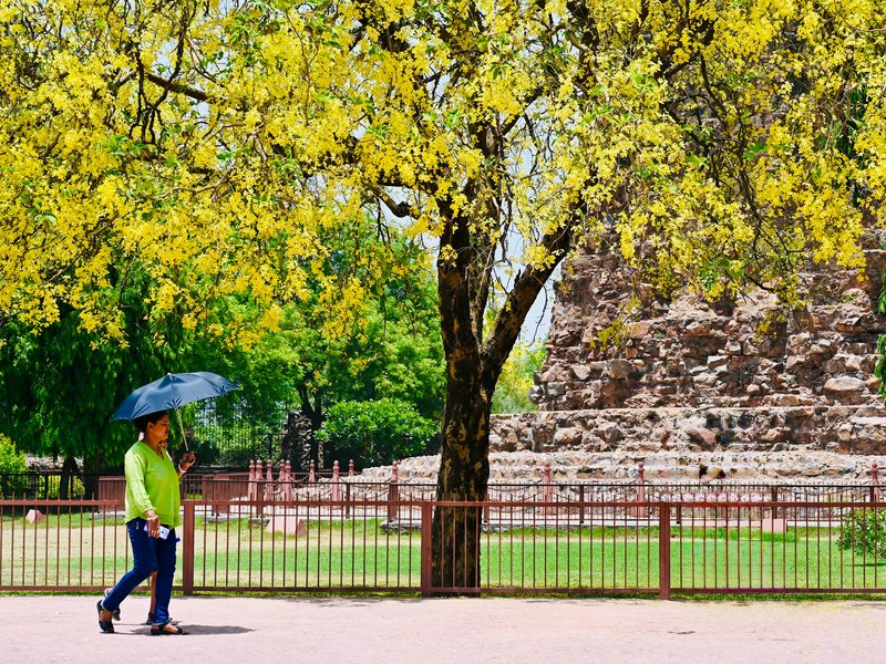 Heatwave-like conditions persist across Delhi as humidity soars