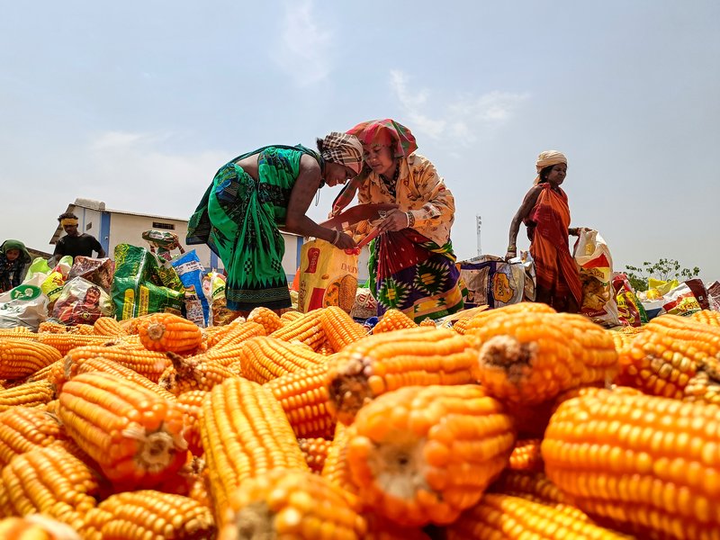 Govt bears burden of elevated global fertiliser prices to safeguard farmers: Goyal