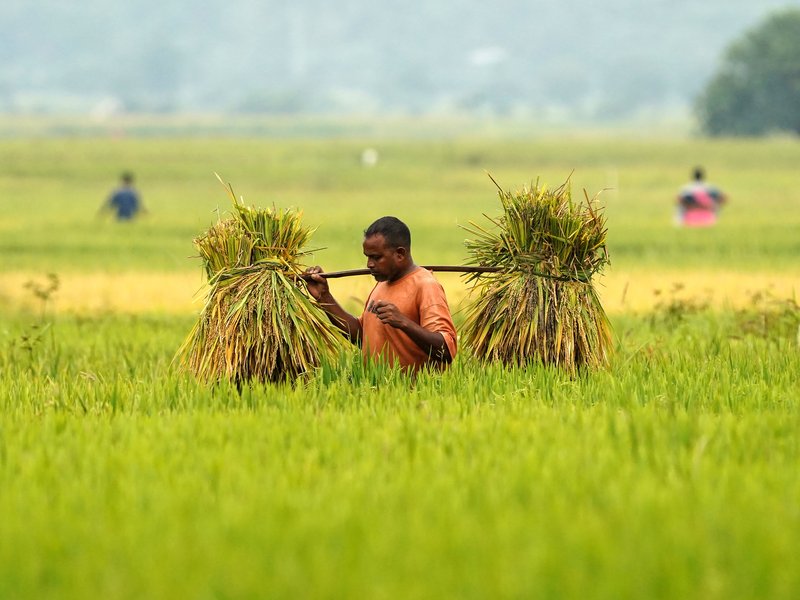 India’s agriculture GVA more than doubles to Rs 48.7 lakh crore in a decade