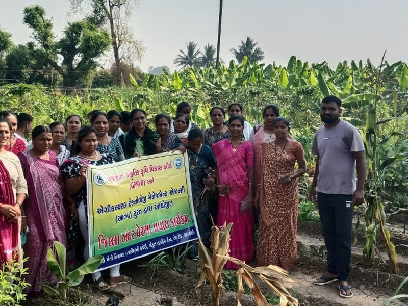 कल्पेश पटेल ने रासायनिक खाद छोड़ चुनी प्राकृतिक खेती की राह : आज देश में एक ‘रोल मॉडल’ के रूप में उभरे