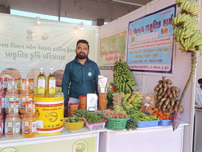 After personal loss, Gujarat farmer builds successful natural banana farm