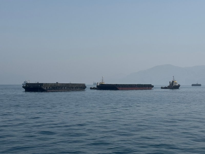 Gulf war hitting South Asia through oil shock: World Bank