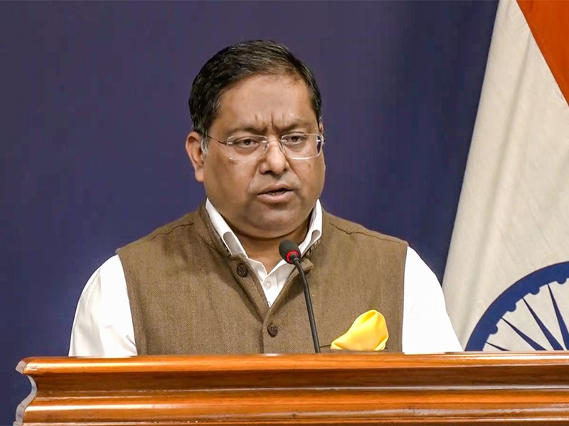 No right to comment on internal affairs: India responds to Pak President's remark on religious sites demolition (File Image)