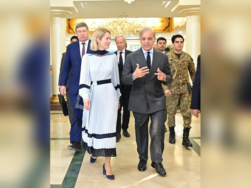 Trusting thief with responsibility of eliminating theft: Activist on EU-Pak counter-terrorism cooperation