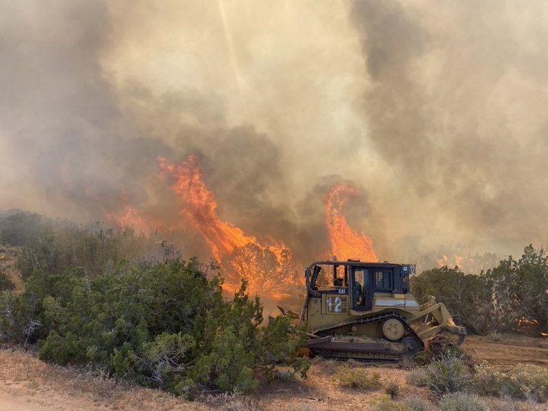 US forest chief warns of severe fire season