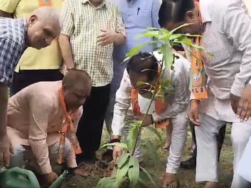 विश्व पर्यावरण दिवस पर देशभर में चलाए जा रहे अभियान, कहीं लगाए जा रहे पेड़ तो कहीं नदियां हो रहीं साफ 