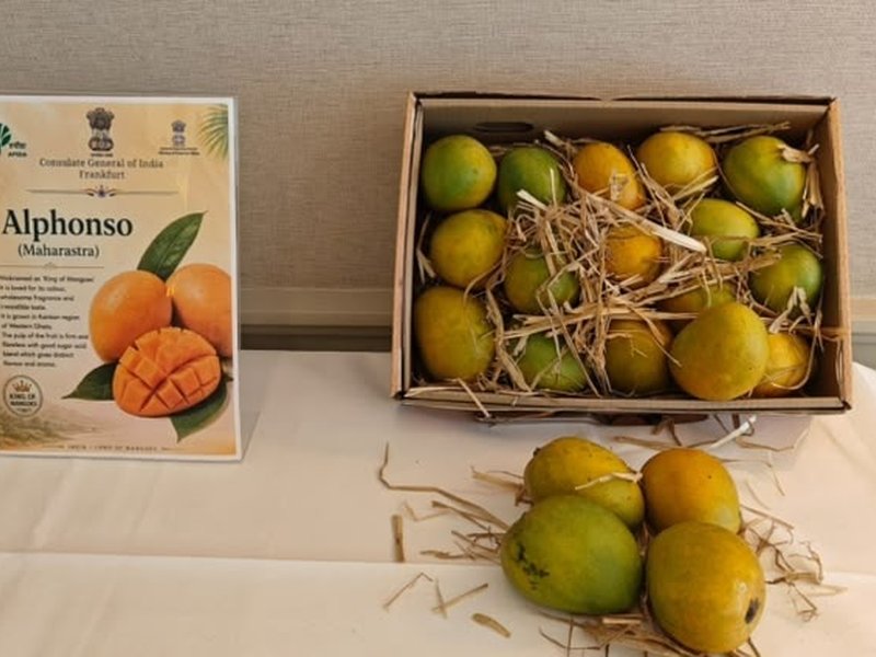 India organises mango festival in Frankfurt