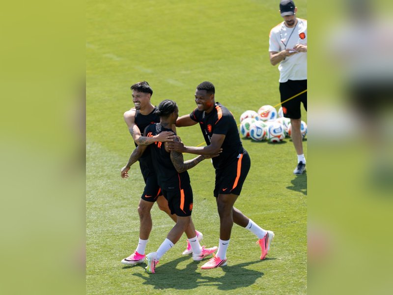 FIFA WC: When and where to watch Netherlands vs Japan, know all details