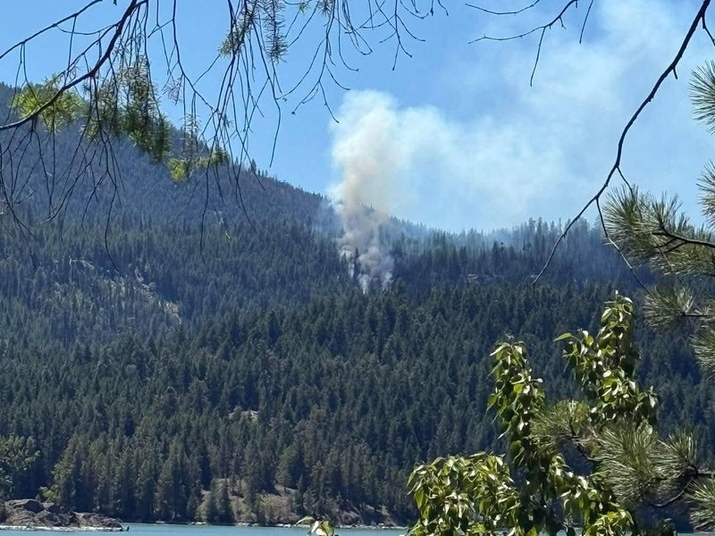 US fighter jet crashes in Washington state: Report