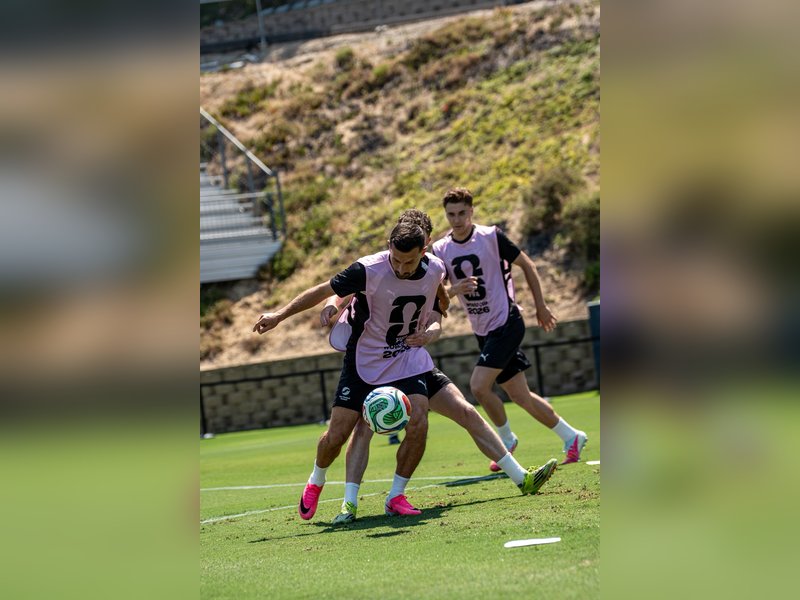 FIFA World cup 2026: When and where to watch Iran vs New Zealand; know all details