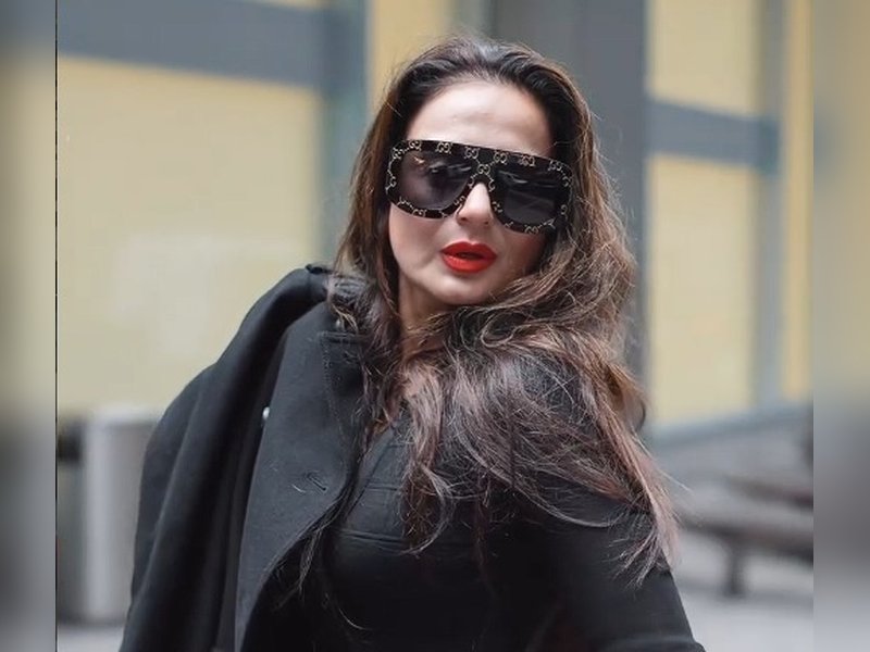 When Ameesha Patel was confronted by the 'Gadar' fans