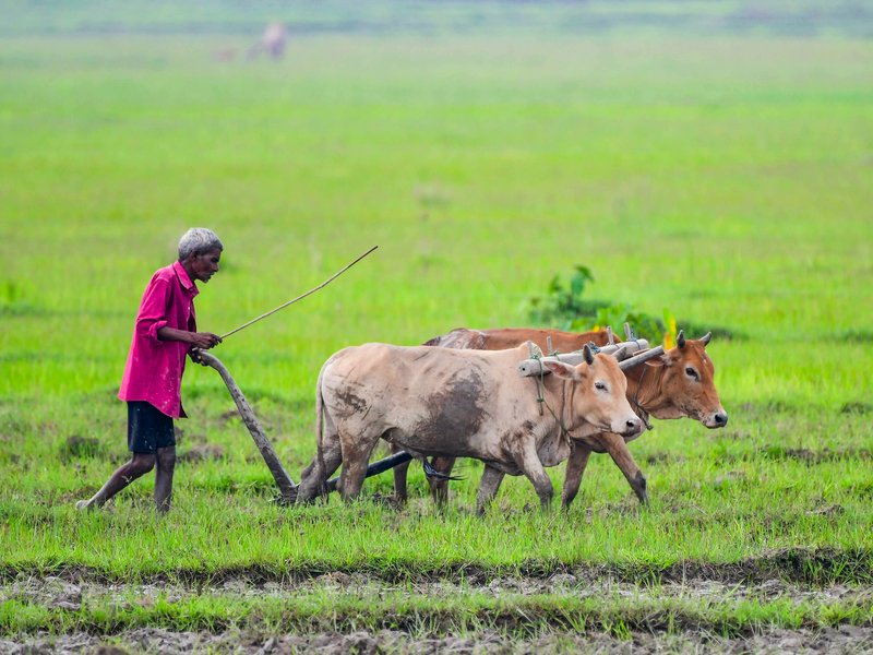 Kisan Sarathi connects nearly 3 crore farmers with digital advisory services