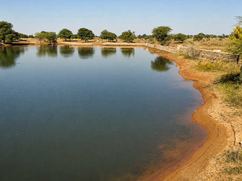 Water turns toxic in Dharam Talab in Rajasthan's Bhilwara village, local admin alerts villagers prohibiting its use
