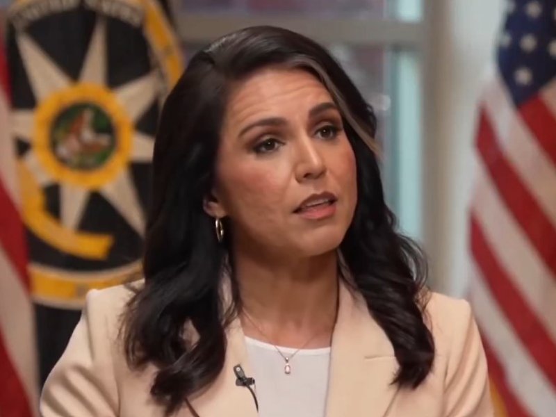 Tulsi Gabbard releases declassified documents alleging Fauci influenced Covid origin assessments