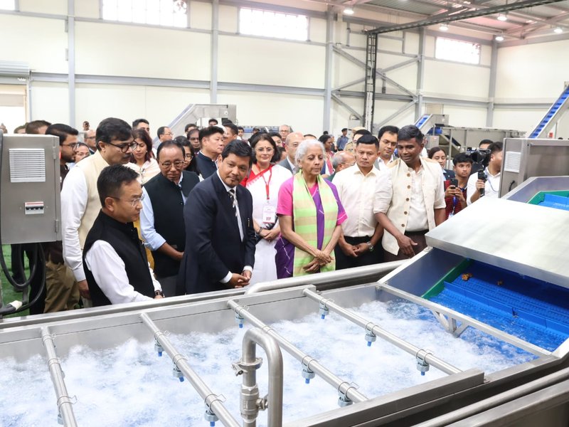 FM Sitharaman inaugurates northeast's largest organic spice processing unit