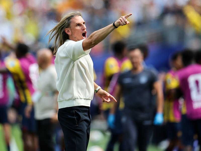 FIFA WC: Sebastian Beccacece steps down as Ecuador head coach after World Cup exit to Mexico