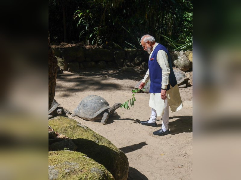 सेशेल्स बोटैनिकल गार्डन: पीएम मोदी ने दुनिया के सबसे बुजुर्ग कछुए जोनाथन को खिलाया खाना, राष्‍ट्रपत‍ि संग लगाया पौधा