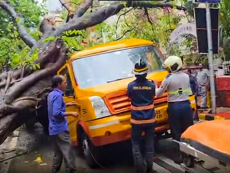  मुंबई: स्कूल बस पर पेड़ गिरने से छात्र की मौत, चार बच्चे घायल