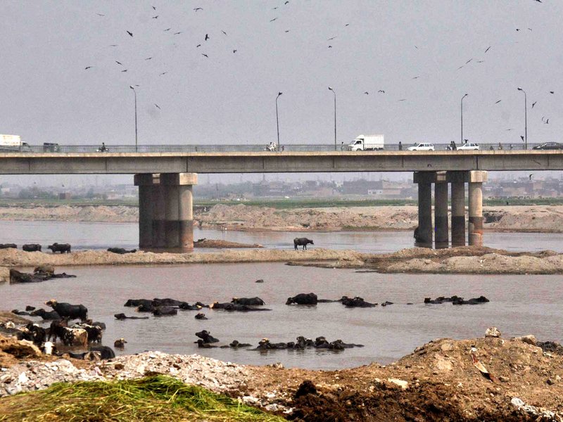 Pakistan's negligence and poor management responsible for its water woes in Indus basin: Report (File image)