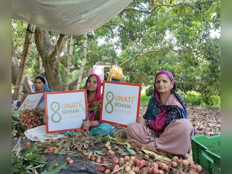Punjab's litchi exported to Oman for 1st time: Piyush Goyal