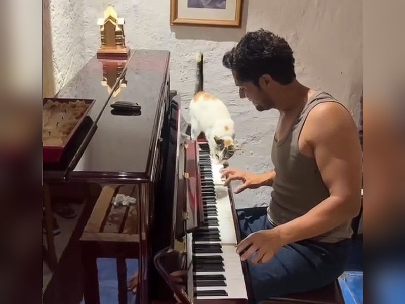 Randeep Hooda's cat takes over his monsoon piano session 