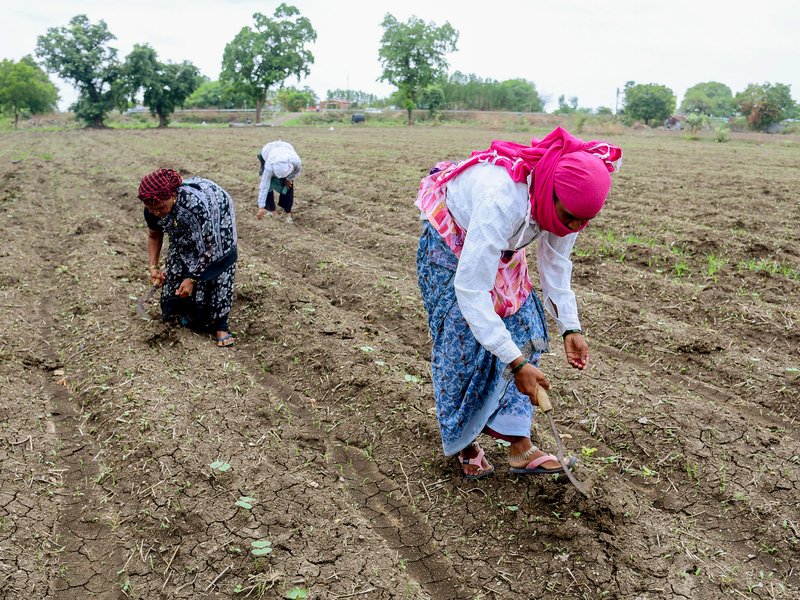 PMO reviews El Nino impact, urges ministries to work with states on preparedness measures