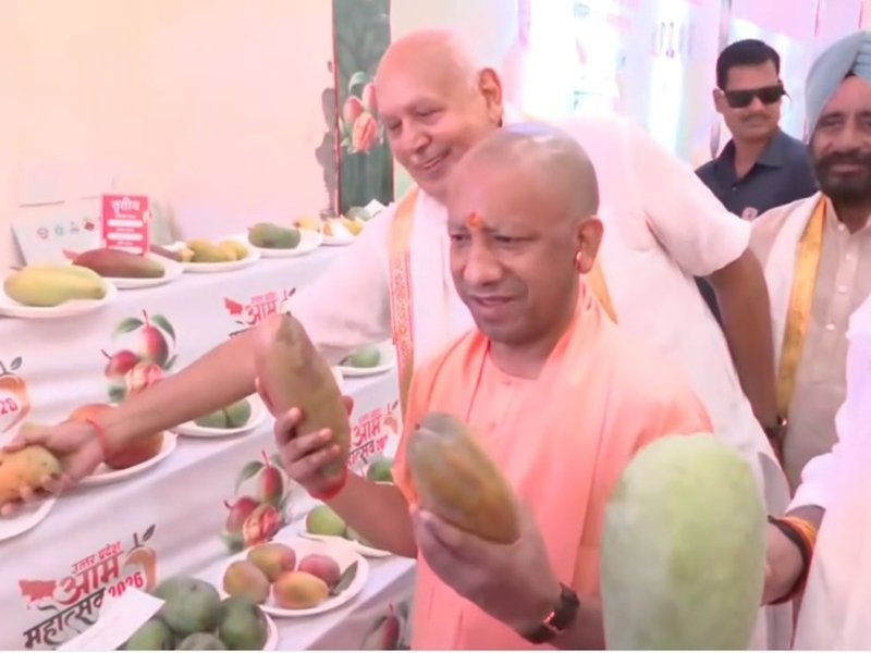 'आम महोत्सव' में सीएम योगी बोले, केमिकल-मुक्त उत्पाद वैश्विक बाजार में बनाएंगे पहचान