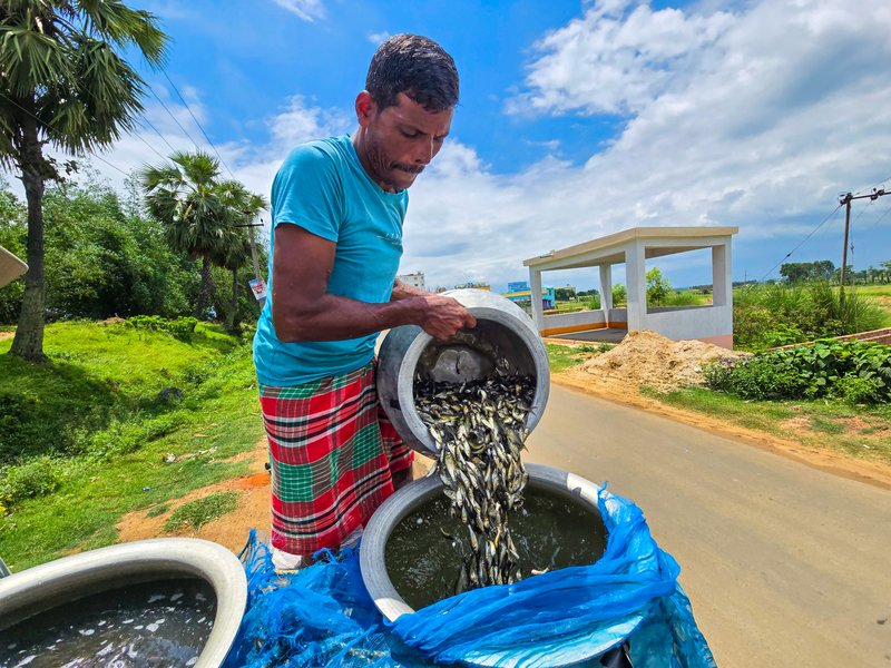 PMMSY scheme gives booster shot to India’s fisheries sector  