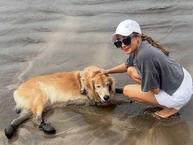 Tinaa Dattaa gets teary-eyed as she recalls her special bond with pet dog Bruno: ‘I’m losing my sleep’