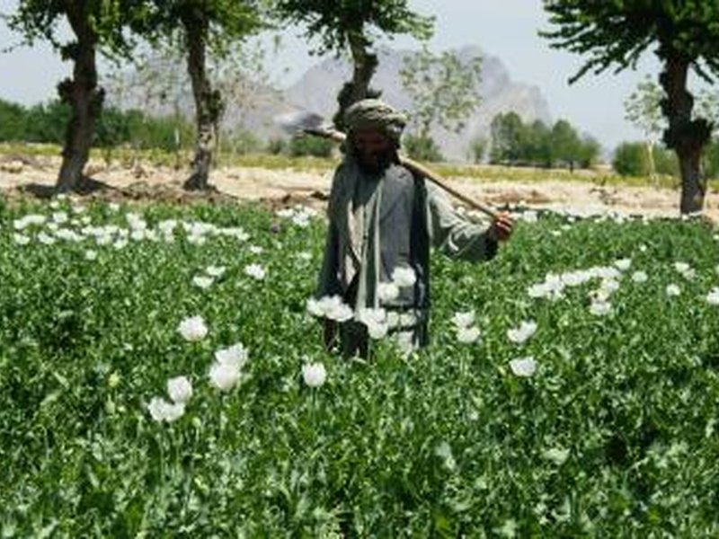 Balochistan chaos gives ISI fresh opportunity to push drugs into India