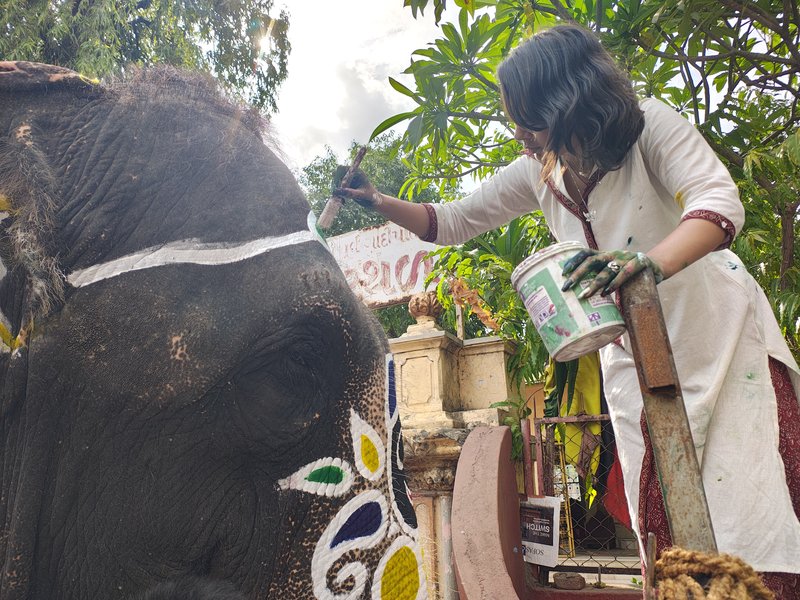 Quiet canvases: Young artist paints Ahmedabad Rath Yatra's gentle giants as lakhs watch