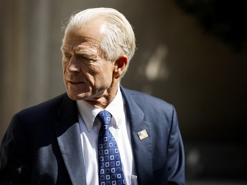 Trump official Peter Navarro urges election overhaul (File Image)