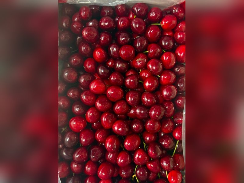 जम्मू-कश्मीर से सिंगापुर को प्रीमियम अरेको चेरी और सेंटरोज प्लम की खेप का निर्यात हुआ, किसानों की आय बढ़ाने में मिलेगी मदद